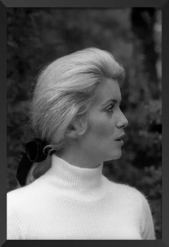 Catherine Deneuve- affiche de célébrités