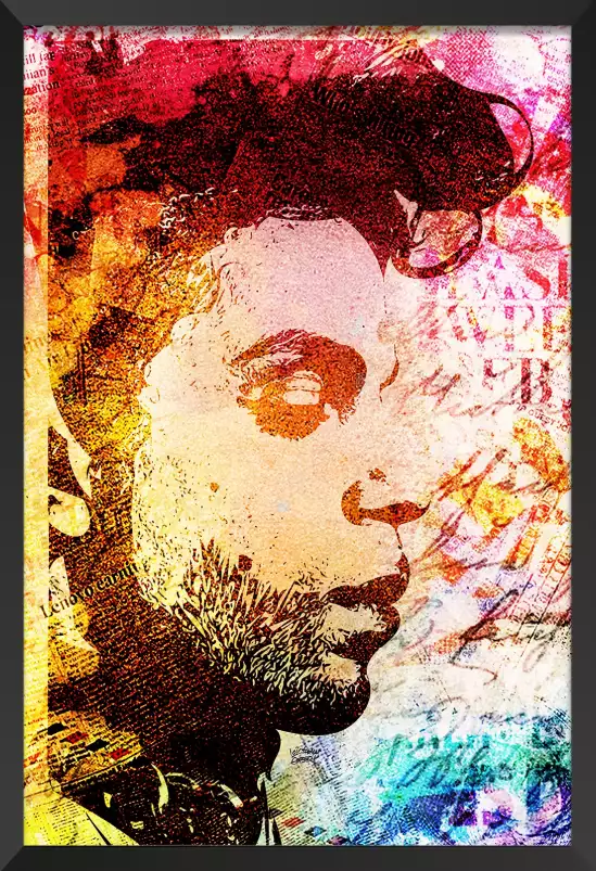 Prince graff - tableau pop art