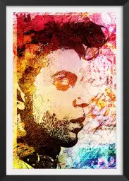 Prince graff - tableau pop art