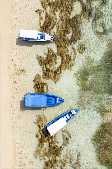 Bateau bleu- tableau paysage mer