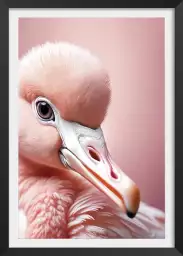 Pinkie - affiche oiseaux