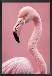 Pink flamingo - affiche oiseaux