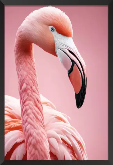 Flamant rose florida - affiche oiseaux