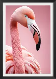 Flamant rose florida - affiche oiseaux