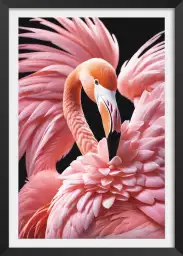 Flamant rose South beach - affiche oiseaux