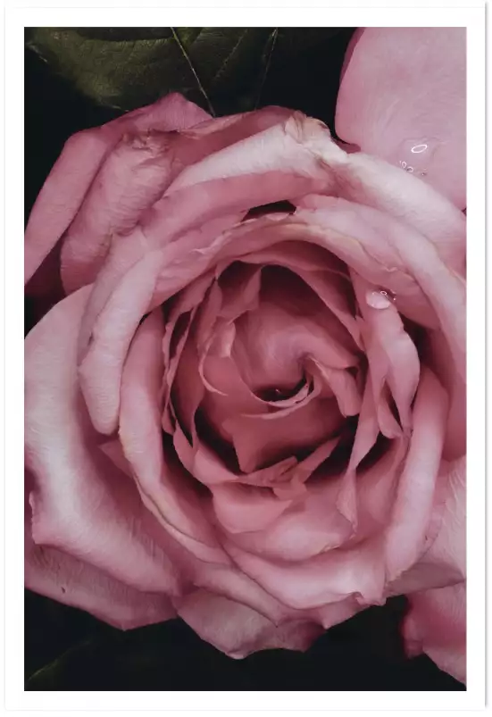 Portrait de femme C?ur - tableau fleur rose