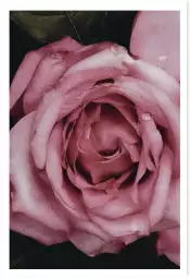 Portrait de femme C?ur - tableau fleur rose