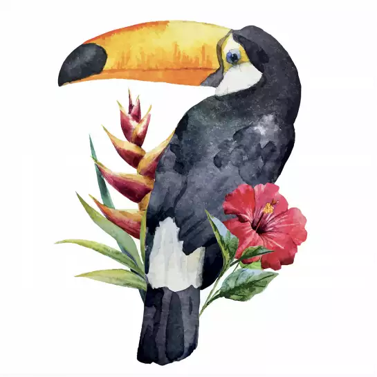 Toucan fleuri - poster oiseaux