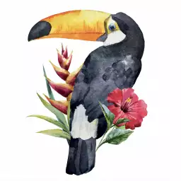 Toucan fleuri - poster oiseaux