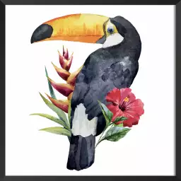 Toucan fleuri - poster oiseaux