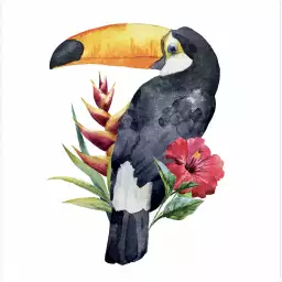 Toucan fleuri - poster oiseaux