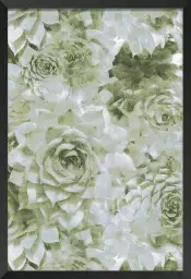 Chrysantème vert - tableaux fleurs