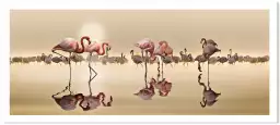 Flamingo et transparence - poster animaux