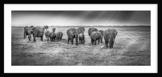 Balade matinale - tableau elephant