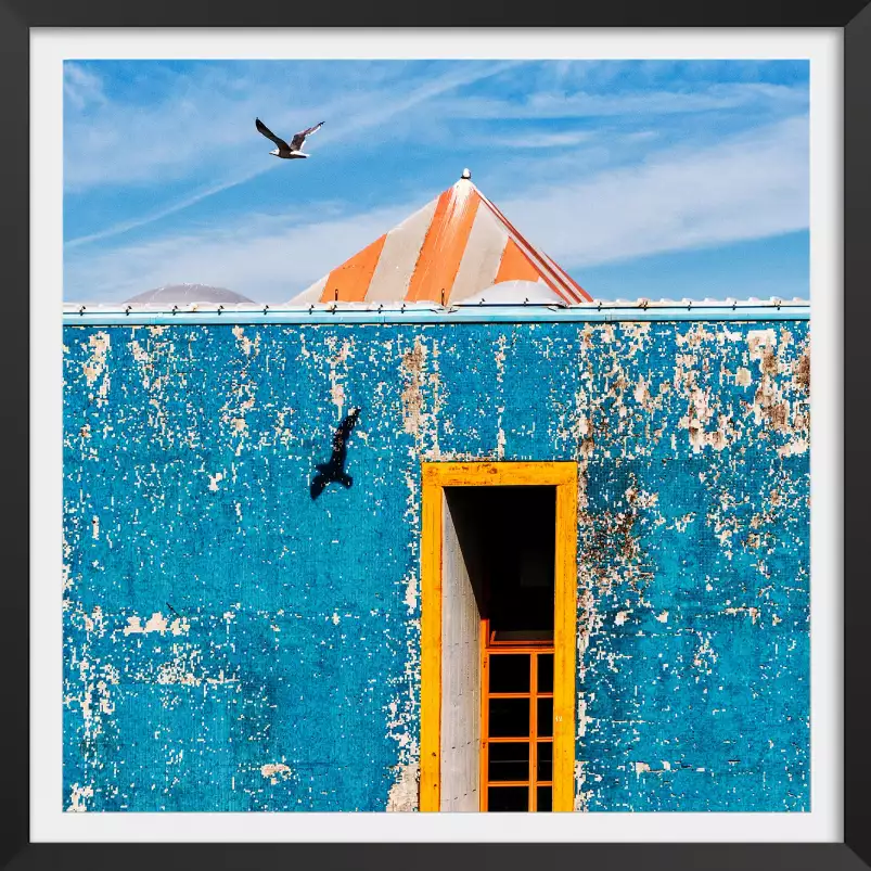 Mouettes - photo oiseaux