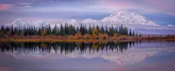 Denali Reflection - paysage montagne