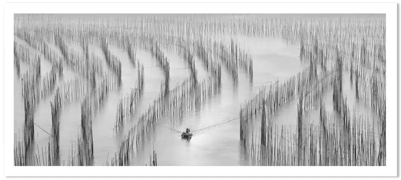 Barque back - tableau mer