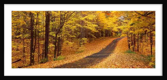 Emery park - affiche nature