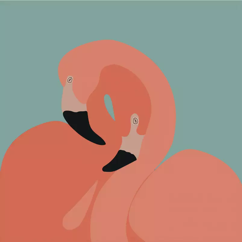Flamingo embrace - tableau coloré animaux