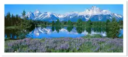 Wyoming - tableau paysage montagne