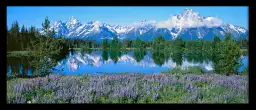 Wyoming - tableau paysage montagne