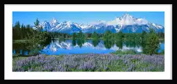 Wyoming - tableau paysage montagne