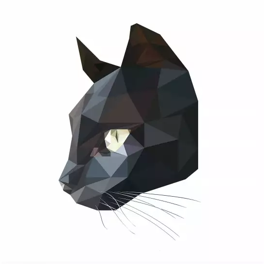 Chat noir - graphisme animaux