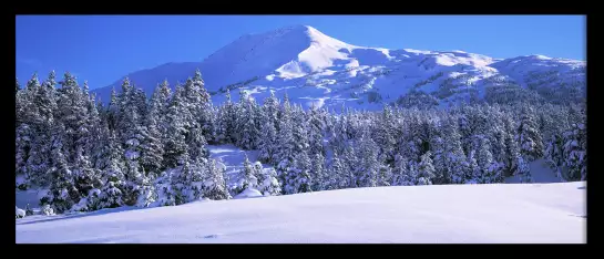 Peninsule Kenai en Alaska USA - tableau paysage montagne