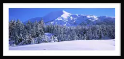 Peninsule Kenai en Alaska USA - tableau paysage montagne