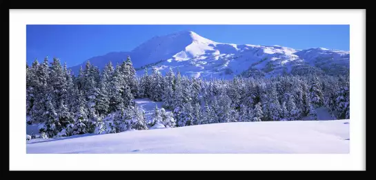 Peninsule Kenai en Alaska USA - tableau paysage montagne