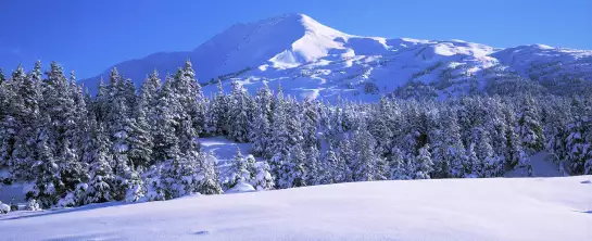 Peninsule Kenai en Alaska USA - tableau paysage montagne