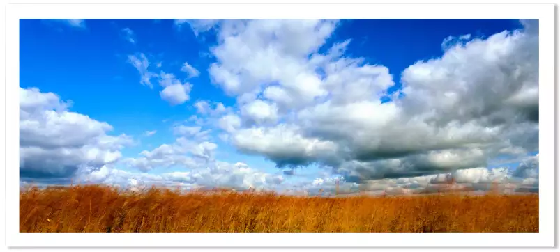 Prairie américaine - poster nature