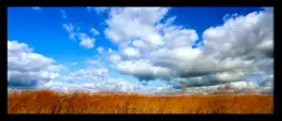 Prairie américaine - poster nature