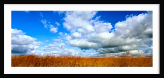 Prairie américaine - poster nature