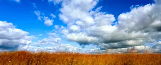 Prairie américaine - poster nature