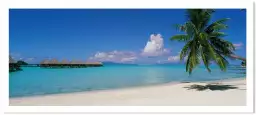 Moana Beach Tahiti - tableau paysage mer