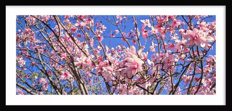 Parc en fleur - tableau fleur rose