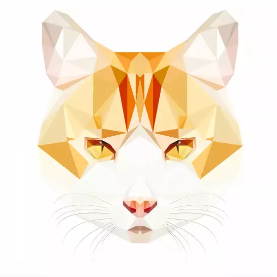 Chat roux - graphisme animaux