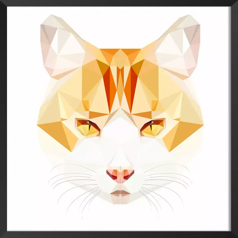 Chat roux - graphisme animaux