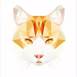 Chat roux - graphisme animaux