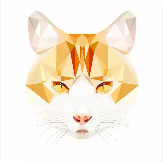 Chat roux - graphisme animaux