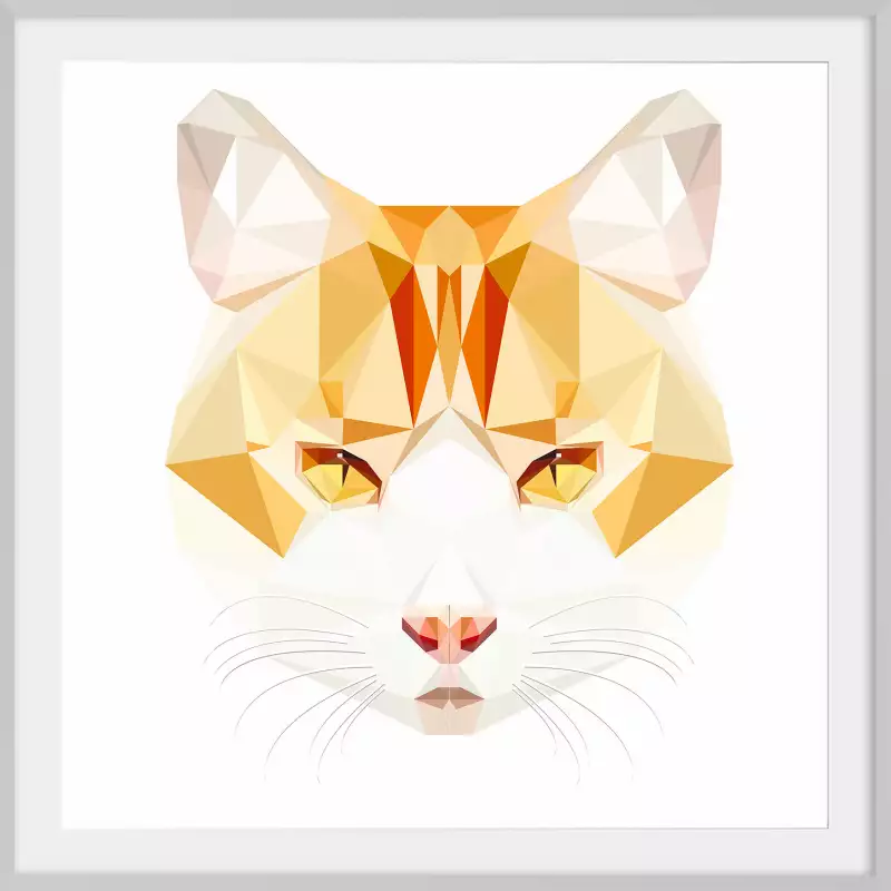 Diagramme gratuit : le chat roux sur polaroid