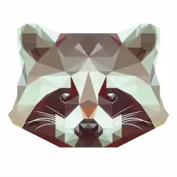 Raton laveur - graphisme animaux