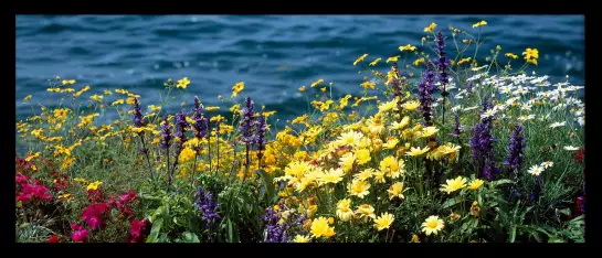 Lac Leman à Montreux - tableau paysage