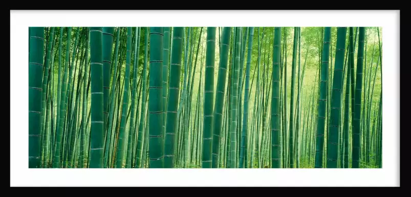 Sagano à Kyoto - affiche fleurs