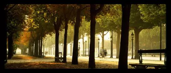 Les arbres des Champs Elysees - tableau paris