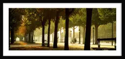 Les arbres des Champs Elysees - tableau paris