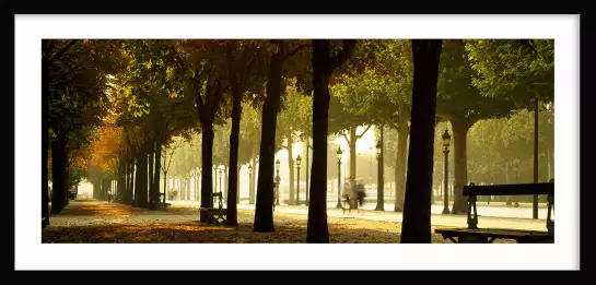 Les arbres des Champs Elysees - tableau paris