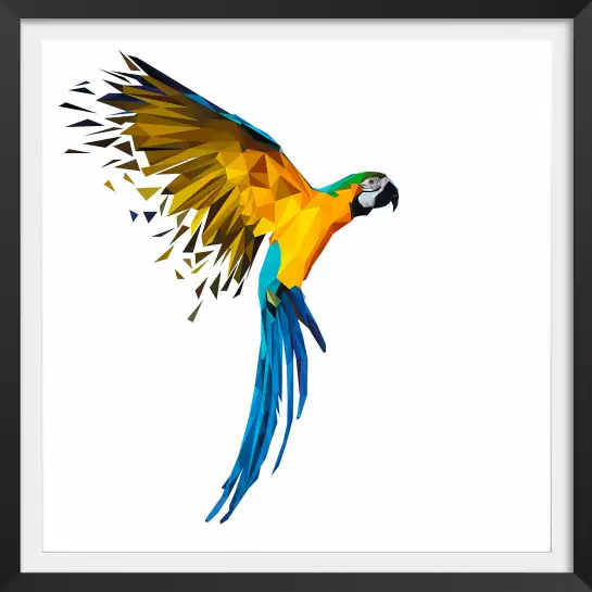 Perroquet - graphisme animaux