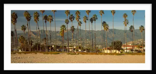 Palmier sur Santa Barbara - affiche ville
